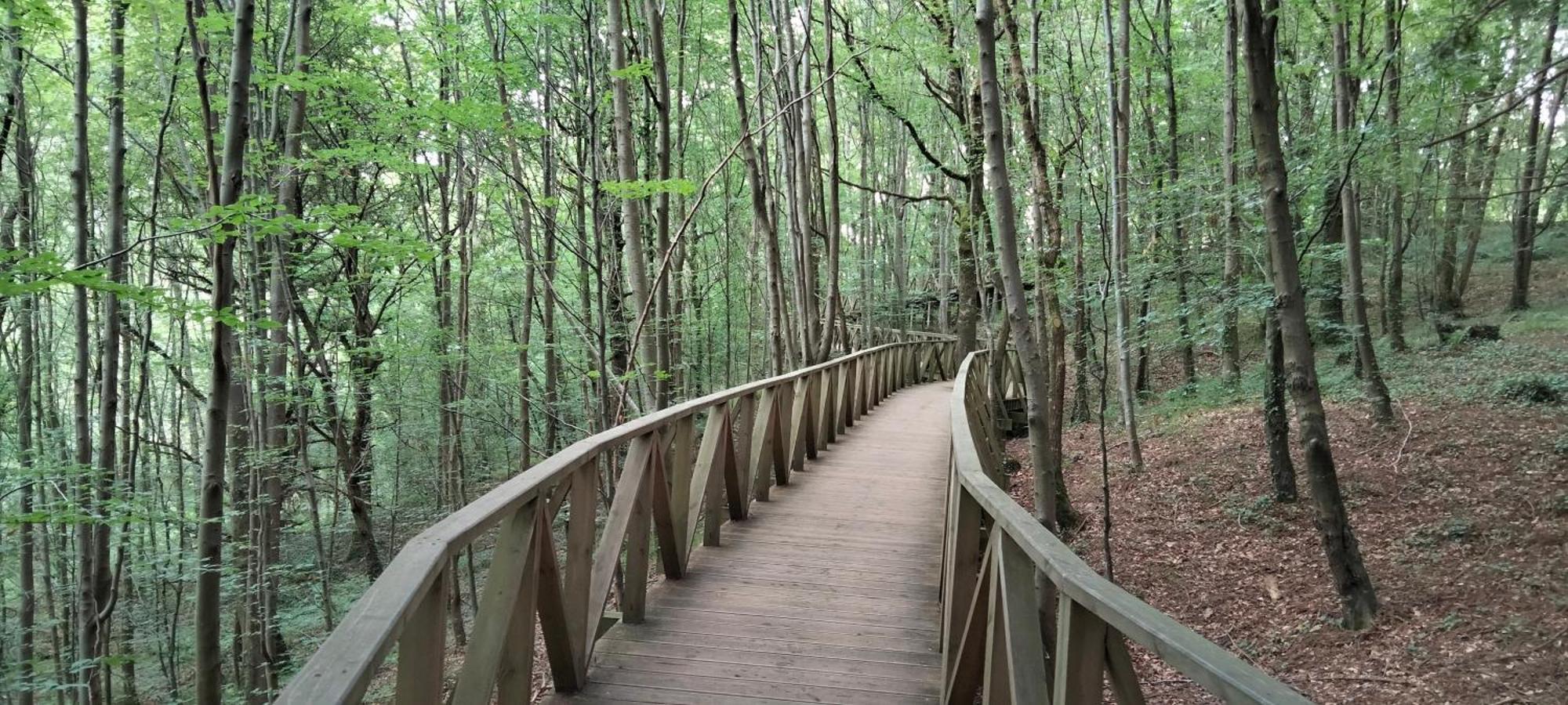 El Mirador Del Valle, A 9 Min De 코밀라스 외부 사진